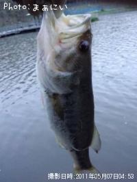 ¥Ö¥é¥Ã¥¯¥Ð¥¹