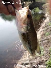 ¥Ö¥é¥Ã¥¯¥Ð¥¹