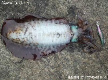 �����ꥤ��