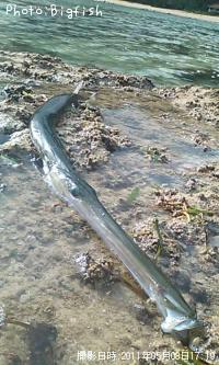 �����䥬��