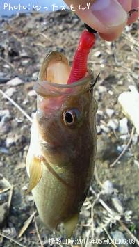 �֥�å��Х�