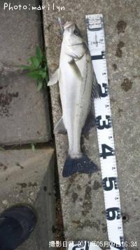 �����Х�