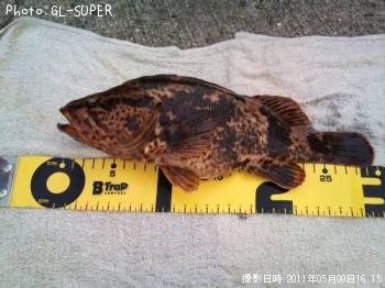 ¥¿¥±¥Î¥³¥á¥Ð¥ë