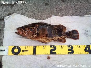 ¥¿¥±¥Î¥³¥á¥Ð¥ë