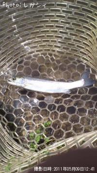 �쥤��ܡ��ȥ饦��