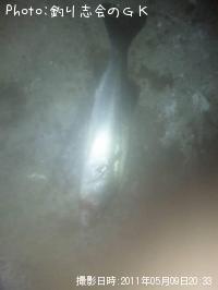 �����Х�