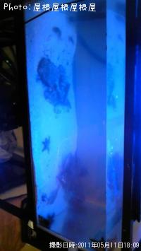 ¥á¥Ð¥ë¡¦¥Ï¥¼¡¦¥¢¥¤¥Ê¥á