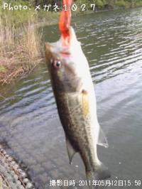 �֥�å��Х�