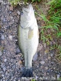 �֥�å��Х�