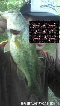 �֥�å��Х�