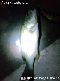 �֥�å��Х�