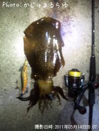 ¥¢¥ª¥ê¥¤¥«