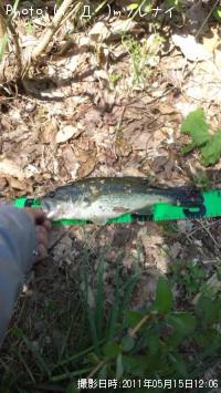 ¥Ö¥é¥Ã¥¯¥Ð¥¹