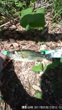 �֥�å��Х�