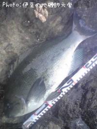 �����᥸��