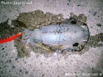 �����ꥤ��