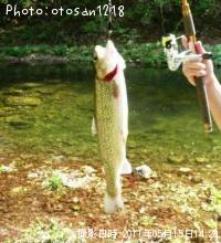 �쥤��ܡ��ȥ饦��