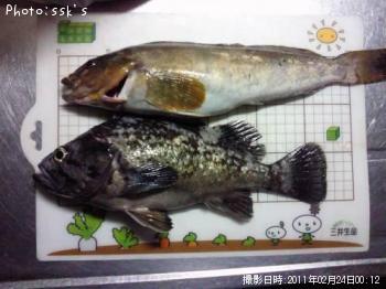 ¥½¥¤¥¢¡¡¥¤¥Ê¥á