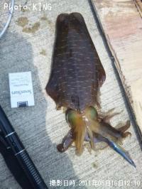 �����ꥤ��