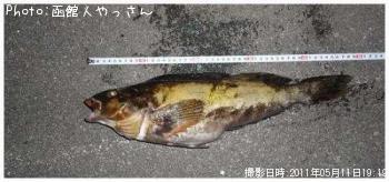 �����ʥ�