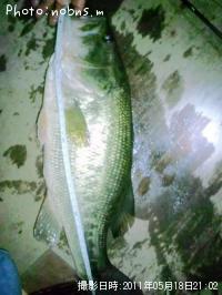 �֥�å��Х�