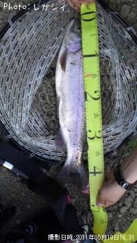 ¥ì¥¤¥ó¥Ü¡¼¥È¥é¥¦¥È