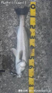 �����Х�