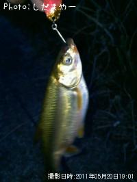 ¥¦¥°¥¤¤Á¤ã¤ó