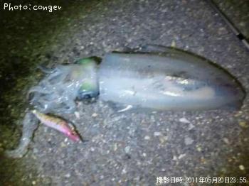 ¥¢¥ª¥ê¥¤¥«