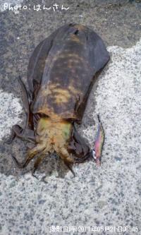 �����ꥤ��