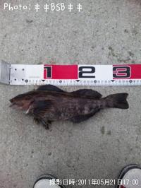 �����ʥ�