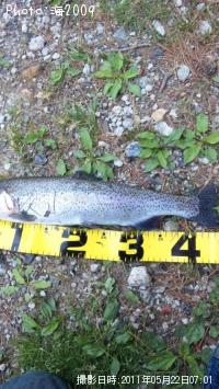 ¥ì¥¤¥ó¥Ü¡¼¥È¥é¥¦¥È