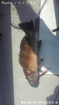 �����ϥ�