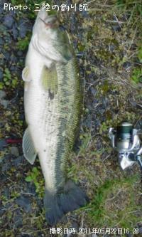 �֥�å��Х�