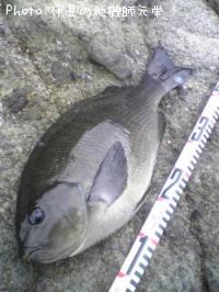 �����᥸��