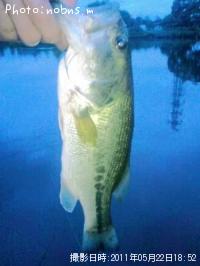 �֥�å��Х�