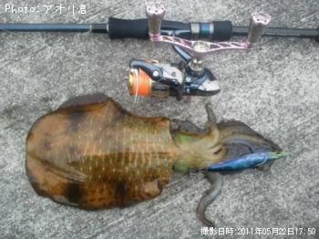 ¥¢¥ª¥ê¥¤¥«