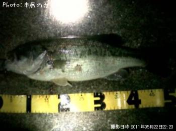 �֥�å��Х�