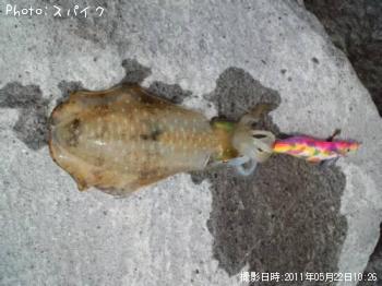 �����ꥤ��