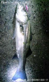 �����Х�