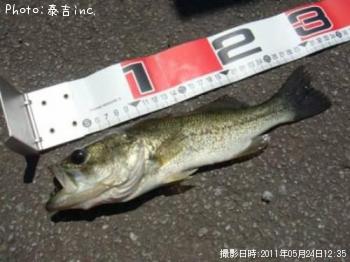 �֥�å��Х�