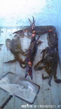 ���ˤ���