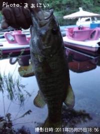 ¥Ö¥é¥Ã¥¯¥Ð¥¹