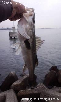 �����Х�