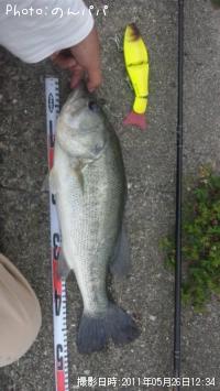 ¥Ö¥é¥Ã¥¯¥Ð¥¹