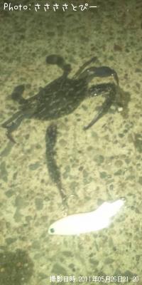 ¥ï¥¿¥ê¥¬¥Ë