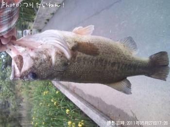 �֥�å��Х�