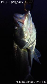 �����Х�