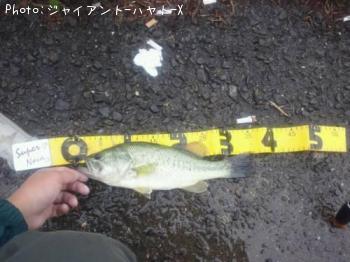 �֥�å��Х�