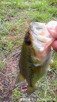 �֥�å��Х�